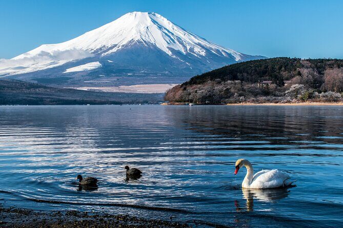 From Tokyo: Mt Fuji Full Day Private Tour - An In-Depth Look at the Itinerary and Highlights