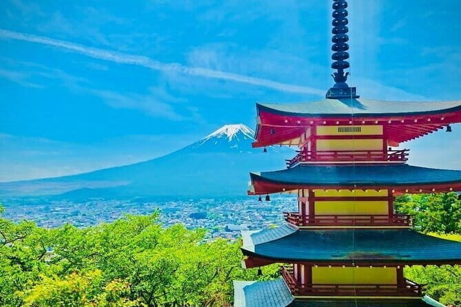 From Tokyo: Mt. Fuji Private Tour With English Speaking Driver - In-Depth Review of the Mt. Fuji Private Tour