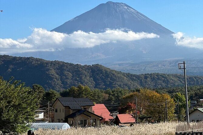 From Tokyo-MT Fuji PVT 1 Day Customized Tour with English Driver - Who Is This Tour Best For?