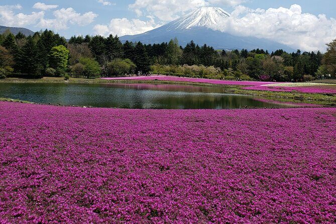 From Tokyo-MT Fuji PVT 1 Day Customized Tour with English Driver - FAQ