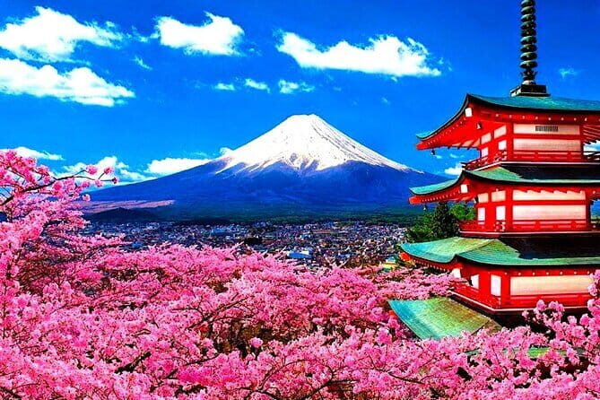 From Tokyo: Nikko Full Day Private Tour by Private Vehicle - Final Thoughts