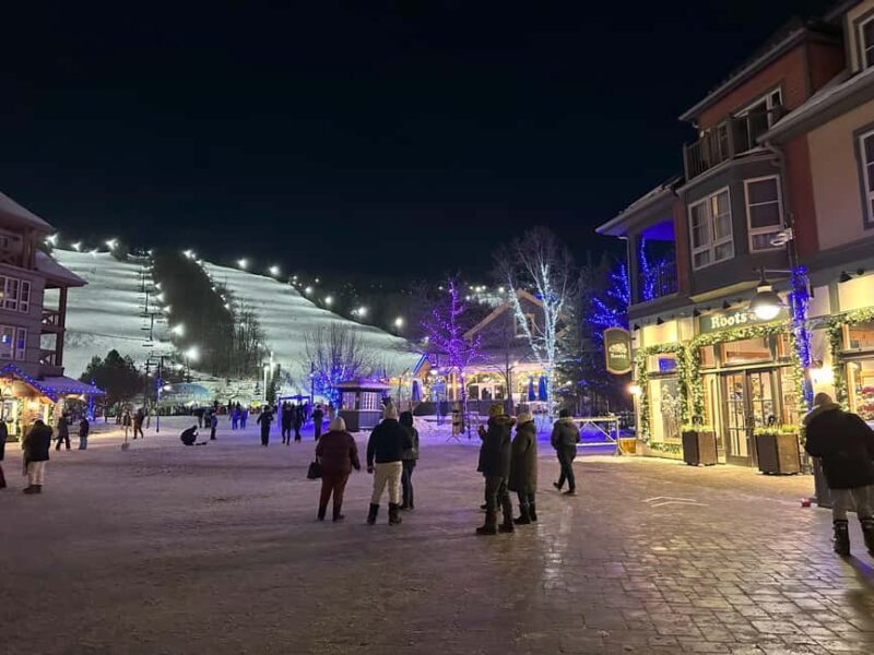 From Toronto: Blue Mountain Day Trip Skiing Snowboarding - Key Points