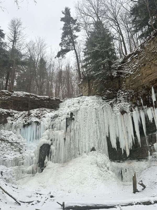 From Toronto: Niagara Falls Day Trip & Wine Tasting - A Practical Look at the Itinerary