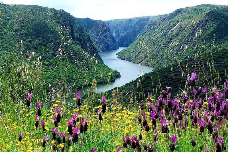 From Torre de Moncorvo: an Immersive Tour through Douro - Why This Tour Is Worth Considering