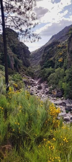 From Torre de Moncorvo: an Immersive Tour through Douro - Final Thoughts