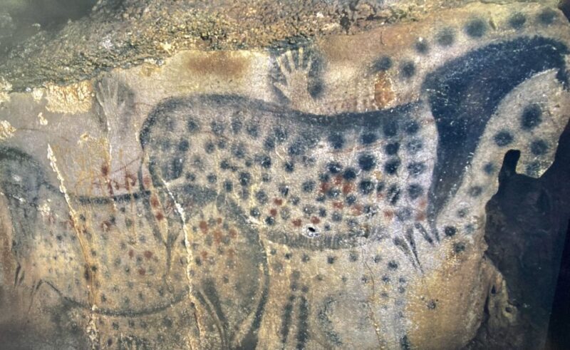 From Toulouse: Peche Merle and Saint Cirq LaPopie Day Trip - Who Should Consider This Tour?