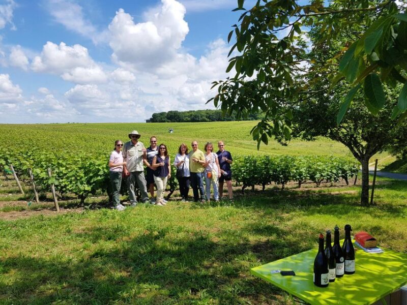 From Tours: Afternoon Loire Valley Wine Tour to Vouvray - The Experience: What to Expect on This Loire Valley Wine Tour
