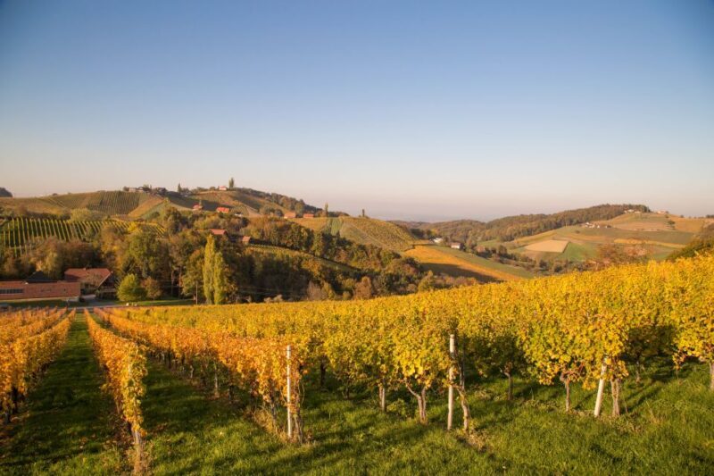 From Tours: Loire Valley Wineries Day Trip with Tastings - Exploring the Heart of the Loire Valley