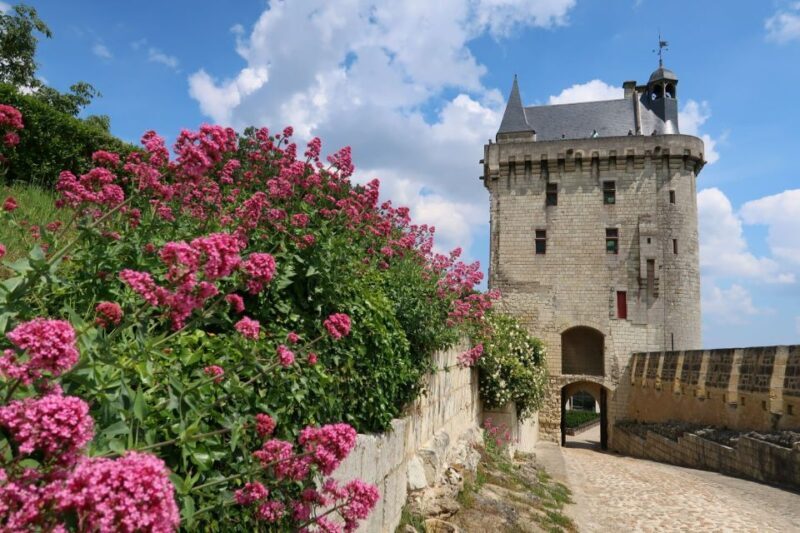 From Tours: Loire Valley Wineries Day Trip with Tastings - FAQ