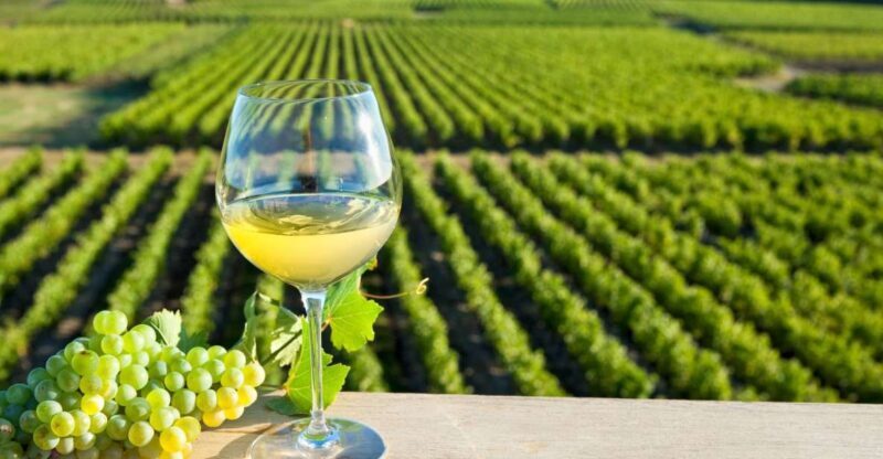 From Tours: Loire Valley Wineries Day Trip with Tastings - In Summary