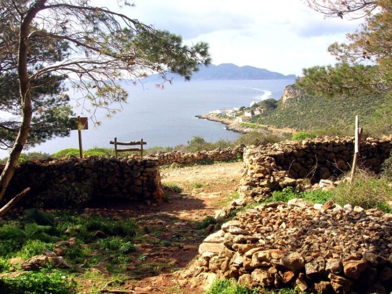 From Trapani: Cruise to Favignana and Levanzo with lunch - The Full Experience: What You Can Expect