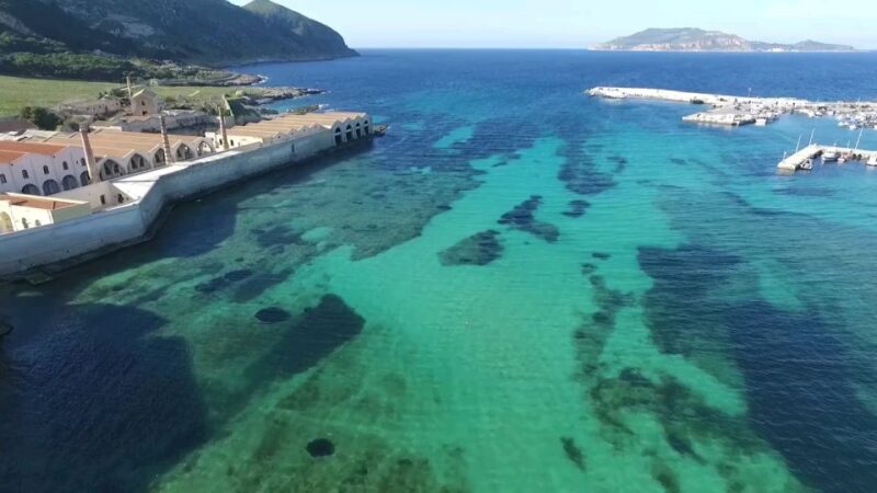 From Trapani: Day Cruise to Favignana & Levanzo with Lunch - Practical Details & Tips