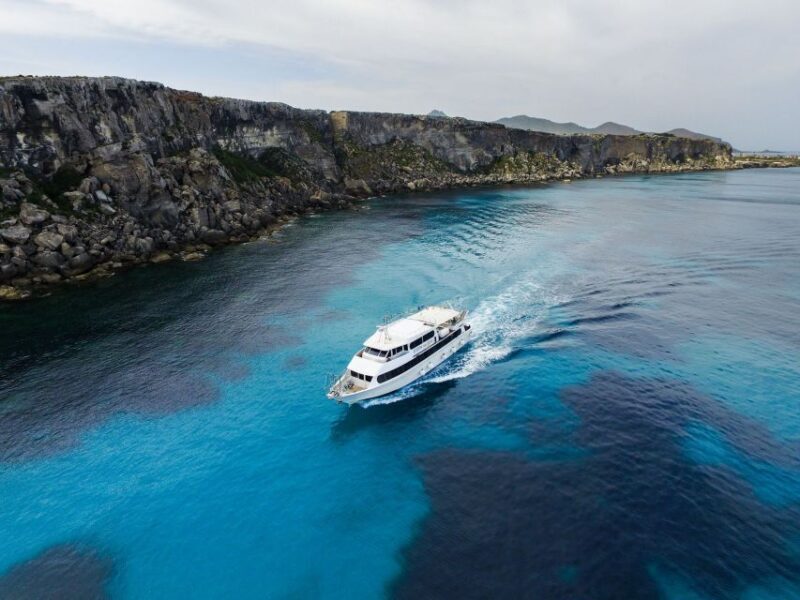 From Trapani: Favignana and Levanzo Motorboat Cruise - An In-Depth Look at the Favignana and Levanzo Motorboat Cruise