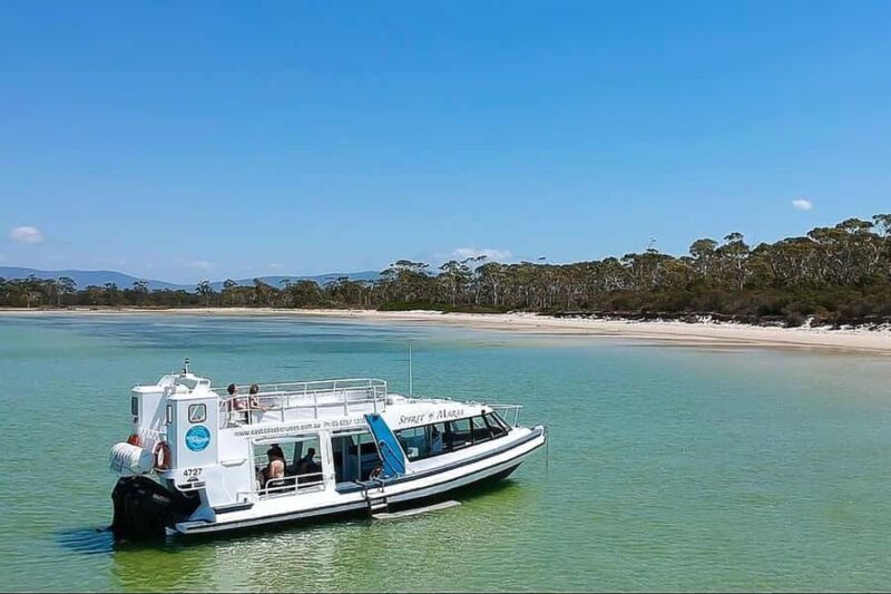 From Triabunna: Maria Island Cruise & Guided Walk with Lunch - The Lunch Stop and Marine Exploration
