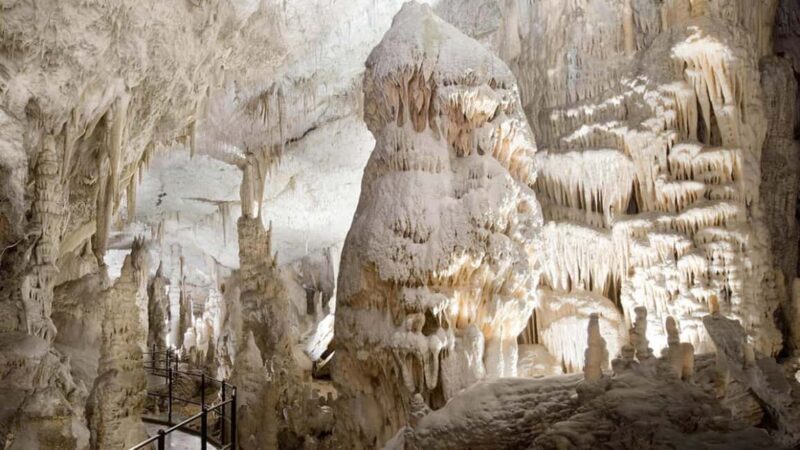 From Trieste: Postojna Cave & Predjama Castle Tour - Key Points