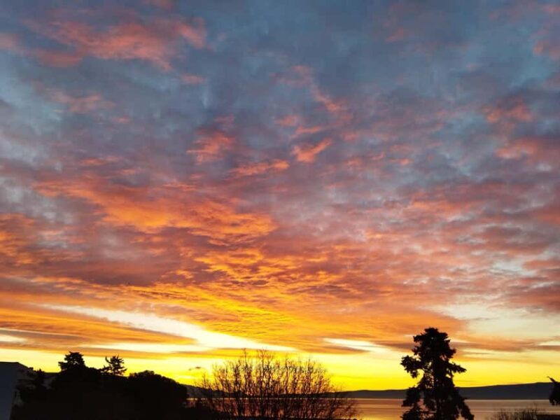 From Trogir: Guided Panoramic Boat Tour with Drinks - Who Will Love This Tour?