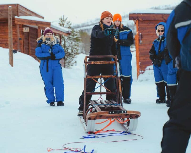 From Tromsø: Advanced Dog Sledding Daytime & Snow Park Visit - An In-Depth Look at the Experience