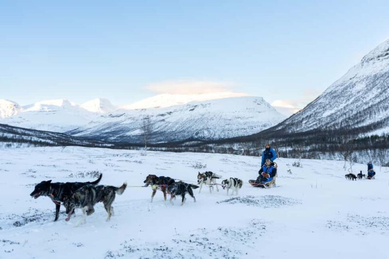 From Tromsø: Advanced Dog Sledding Daytime & Snow Park Visit - Final Thoughts