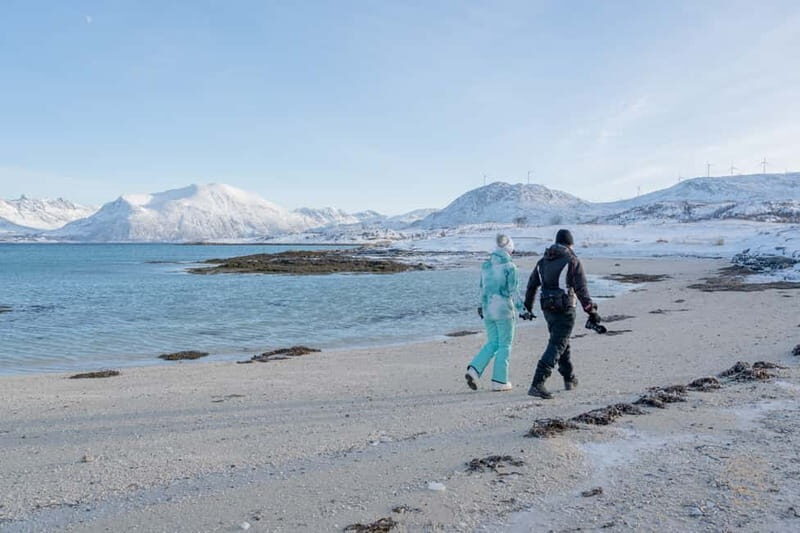 From Tromsø: Arctic Roadtrip: fjords tour with scenic picnic - Final Thoughts