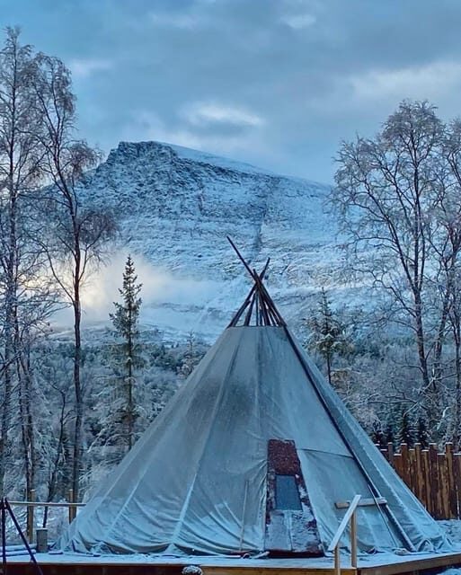From Tromso: Arctic Wilderness Snowmobile Daytime Tour - The Snowmobile Experience