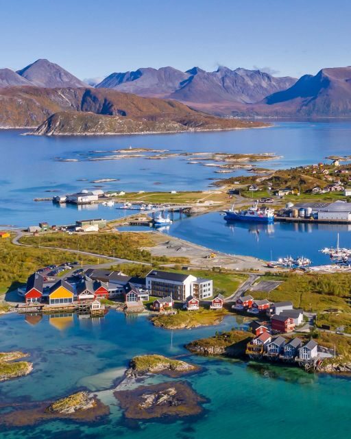 From Tromsø: Arctic Wildlife & Fjord Sightseeing Tour by Car - The Sum Up