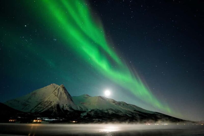 From Tromsø: Aurora Borealis - Authentic Experiences & Insights from Reviews