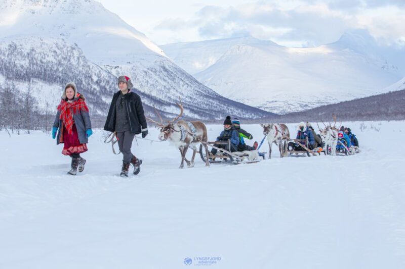 From Tromsø: Daytime Reindeer Sledding at Camp Tamok - What’s Included and Practical Tips