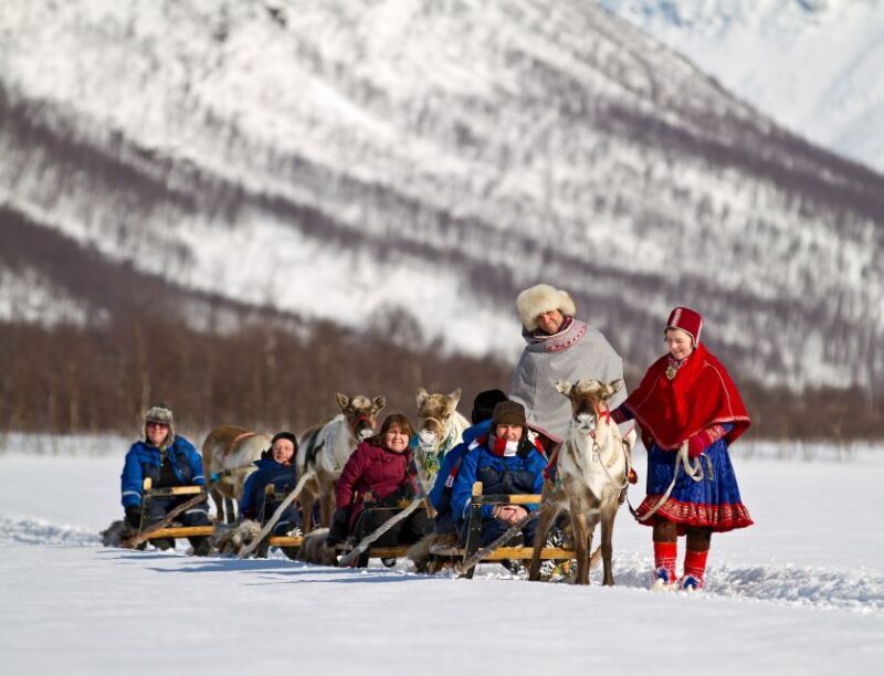 From Tromsø: Daytime Reindeer Sledding at Camp Tamok - Final Thoughts