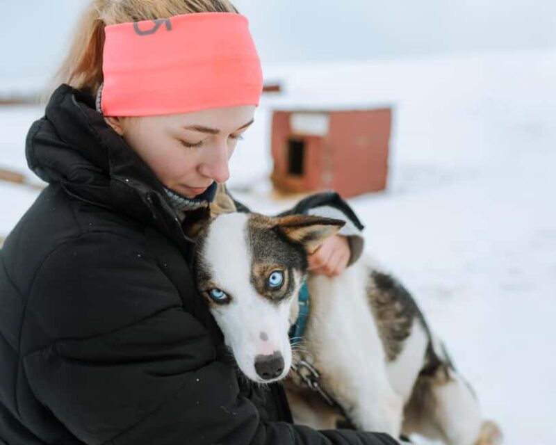 From Tromsø: Dog Sledding Experience with Transfer - What to Expect from the Tour