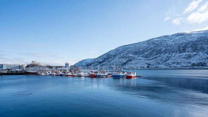 From Tromsø: Experience Vannøya Island Wild, Remote & Real - The Real Value of This Tour
