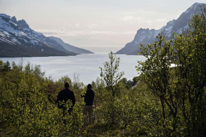 From Tromsø: Fjord Tour and Visit to Sommarøy in French - Key Points