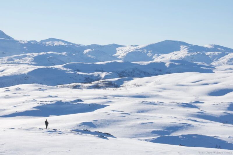 From Tromsø: Guided Snowshoe Hike Experience - Who Is This Tour Best For?
