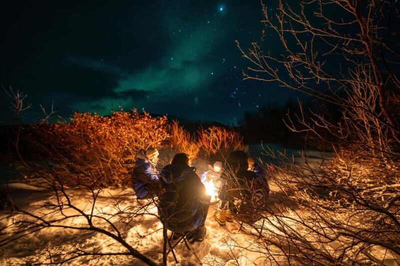 From Tromsø: Northern Lights Chase - The Value of This Experience