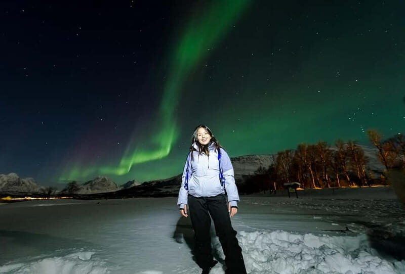 From Tromsø: Northern Lights Guided Bus Chase - The Full Experience: What to Expect and Why It Matters