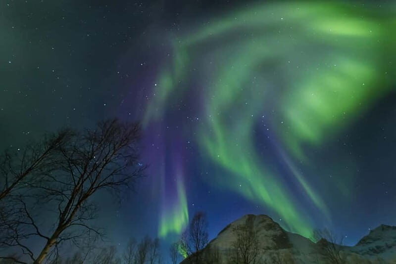From Tromsø: Northern Lights Guided Bus Chase - The Sum Up