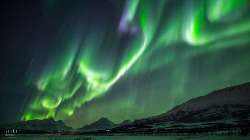 From Tromsø: Northern Lights Tour - An In-Depth Look at the Tour Experience