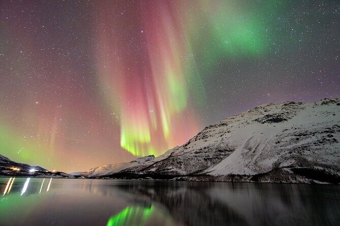 From Tromsø: OFFICIAL Northern Lights Safari by Minibus - From Tromsø: OFFICIAL Northern Lights Safari by Minibus — An In-Depth Review