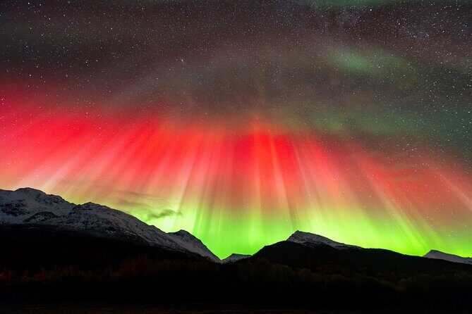 From Tromsø: OFFICIAL Northern Lights Safari by Minibus - A Detailed Look at the Northern Lights Safari