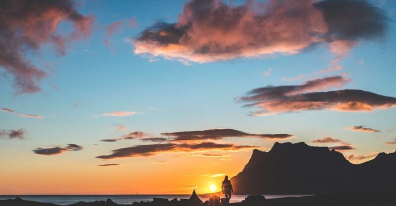 From Tromsø: Senja and Kvaløya Arctic Day Trip with Lunch - An Overview of the Arctic Day Trip