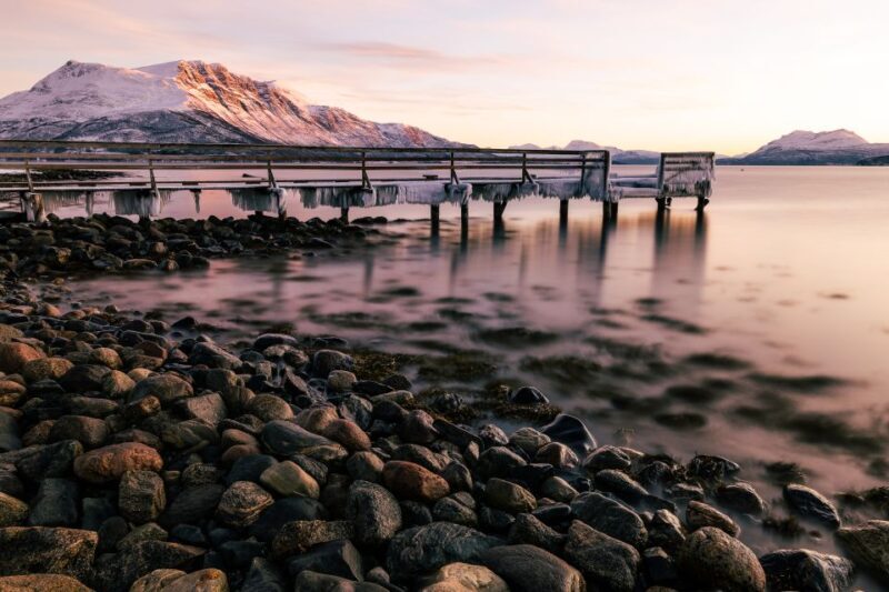 From Tromsø: Senja and Kvaløya Arctic Day Trip with Lunch - Who Is This Tour Perfect For?