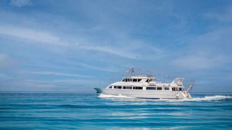 From Tropea: Lipari Panarea Stromboli Night Cruise - Who Will Love This Tour