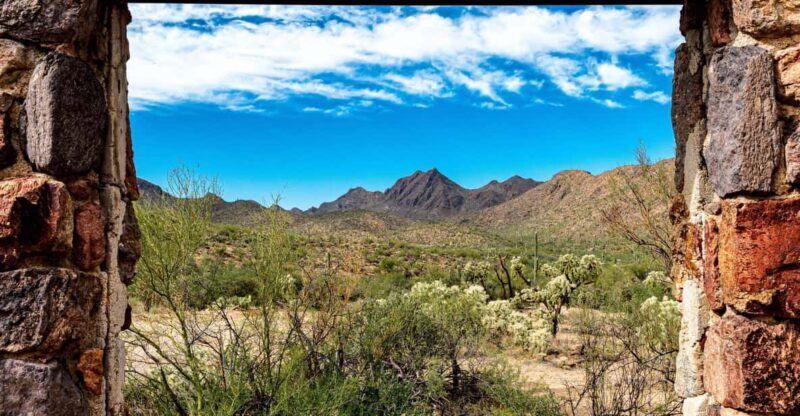 From Tucson: Sonoran Desert with Desert Museum Ticket - Exploring the Sonoran Desert from Tucson: An Authentic Day Tour