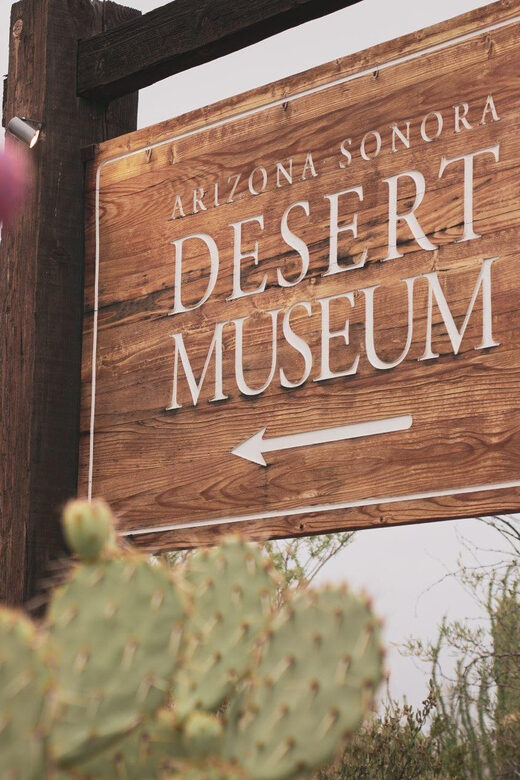 From Tucson: Sonoran Desert with Desert Museum Ticket - Key Points
