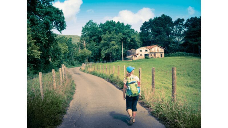 From Tui: 9-Day Guided Camino Walking Tour to Santiago - An In-Depth Look at the 9-Day Guided Camino from Tui