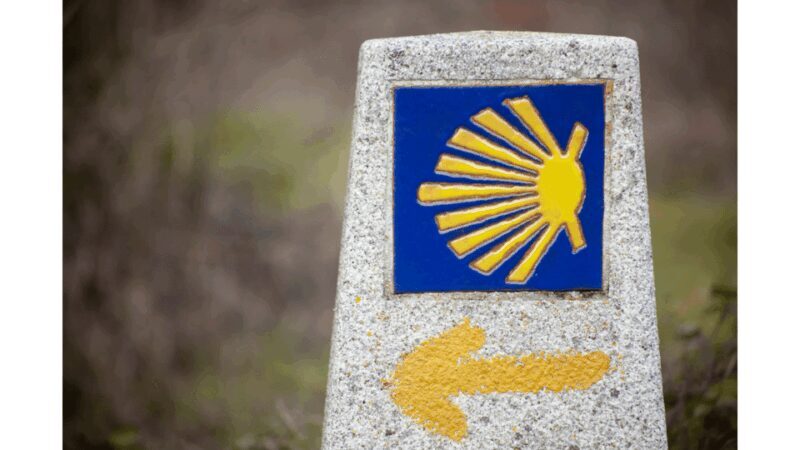 From Tui: 9-Day Guided Camino Walking Tour to Santiago - FAQ
