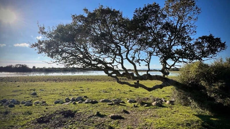 From Tuili: trekking in the Giara Park - Key Points