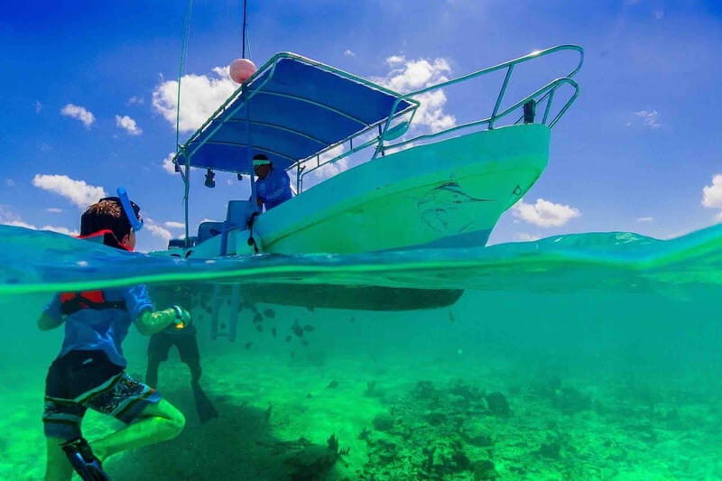 From Tulum: Cenote Riviera Maya & Snorkel Excursion - Practical Tips for Your Day