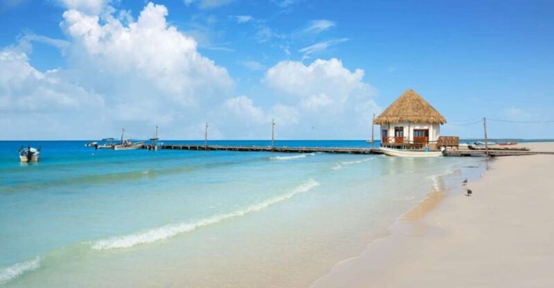 From Tulum: Holbox Island Full-Day Trip with Lunch - Key Points