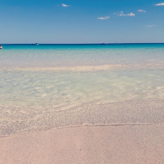 From Tulum: Holbox Island Full-Day Trip with Lunch - FAQ