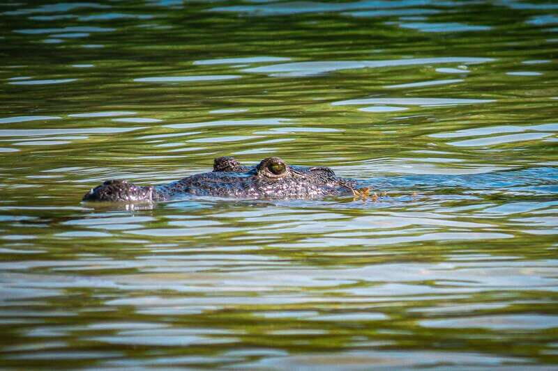From Tulum: Sian Kaan Boat Trip Adventure with Lunch - An In-Depth Look at the Tour Experience